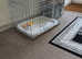 Metal dog cage
