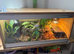 3ft Vivarium