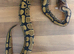 Grown on baby royal/ball pythons