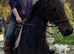 16.2 TB gelding