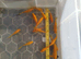 Yellow Comet. around 3 inch. please read ad for price. nice selection