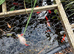 Mixed selection of fish