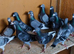 Racing pigeons