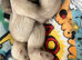 5weeks old kits. Pet only