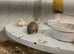 2 male gerbils