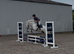 Kind & Genuine Class 1 Connemara Mare