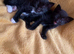 Adorable boys