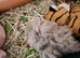Adorable baby girls and boys