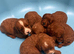 Beautiful Red F1 Cavapoo Puppies