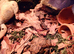 Miyako Toad Looking for a New Home ( Bufo gargarizans miyakonis) Japanese toad