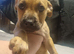 Re advertising due to owner pulling out