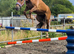 Star in the make 3yr 14.2h