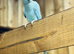 Blue ring neck