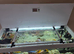 240ltr aquarium/cabinet