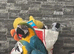 Wanted