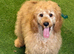 Ted most loving boy perfect family boy