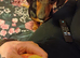 Female young turk for sale