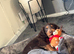 Girl spaniel