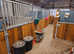 Livery Yard based in Caerphilly county