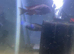 Tropheus Duboisis and Tropheus Molliro