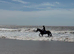 14.2 section D mare