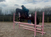4yo smart Barney bear