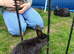 5 bunnies looking for new homes