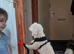 Adorable Puppies Available &ndash; 4 Boys & 1 Girl