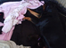 Cane Corso x Rottweiler puppies