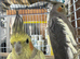 cockatiels