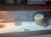 Baby bearded dragon