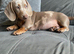 I have 16 weeks old boy