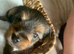 yorkshire terrier puppy's
