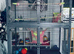 2 male suger gliders with cage and extras