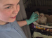 9 week old barn owls