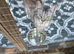 3 x 2year old female maine coon cats