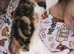 2 Adorable Girl Kittens