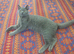 Bibo ready for new home