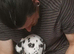 Stunning pure bred Dalmatian pup LAST GIRL