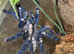Adult Pair Of P Metallicas