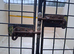 Lintran dog box