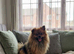 Female pom pom