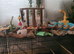 Bird flying cage ,and accessories