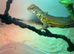 Male