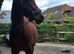 Lovely bay TB
