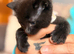 Beautiful boy looking for a forever home