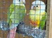 2x 12 week old conures