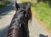 True reliable 15hh happy hacker for all the family