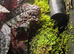 Established Dart Frog Vivarium 50x50x60cm &ndash; Bioactive Setup &pound;300