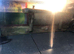 2 musk turtles male and female with tank and accessories filter heat light etc
